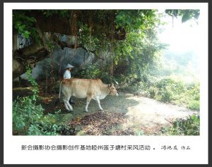 《江门周未亲子游，摄景公园，登山径、自摘水果》