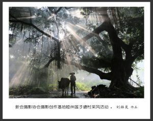 《江门周未亲子游，摄景公园，登山径、自摘水果》