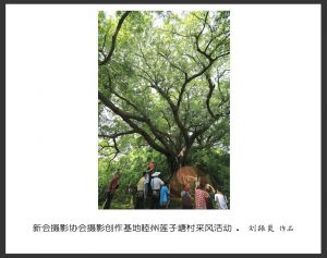 《江门周未亲子游，摄景公园，登山径、自摘水果》