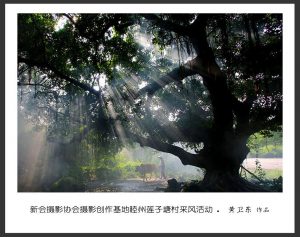 《江门周未亲子游，摄景公园，登山径、自摘水果》