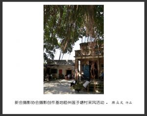 《江门周未亲子游，摄景公园，登山径、自摘水果》